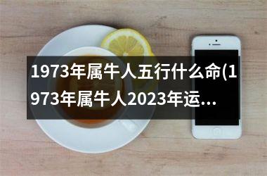 1973年属牛人五行什么命(1973年属牛人2023年运势运程)