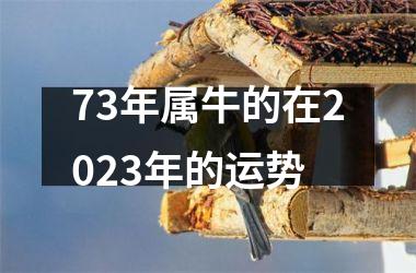<h3>73年属牛的在2025年的运势
