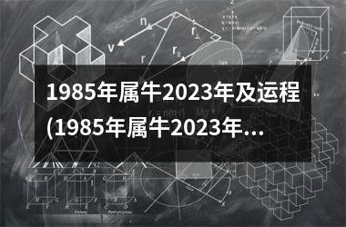 1985年属牛2023年及运程(1985年属牛2023年运势)