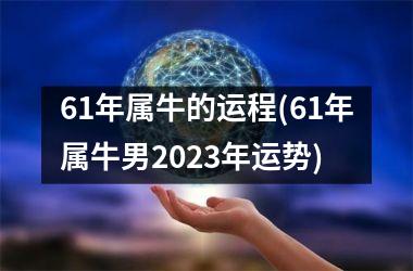 61年属牛的运程(61年属牛男2023年运势)