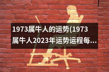 1973属牛人的运势(1973属牛人2023年运势运程每月运程)