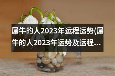 属牛的人2023年运程运势(属牛的人2023年运势及运程详解)