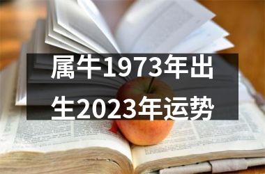 <h3>属牛1973年出生2025年运势