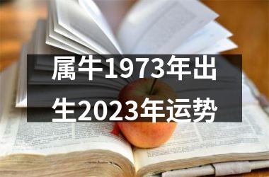 属牛1973年出生2023年运势