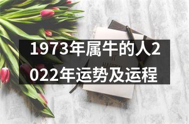 <h3>1973年属牛的人2025年运势及运程