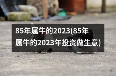 85年属牛的2023(85年属牛的2023年投资做生意)