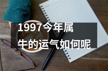 1997今年属牛的运气如何呢