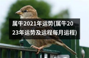 属牛2021年运势(属牛2023年运势及运程每月运程)