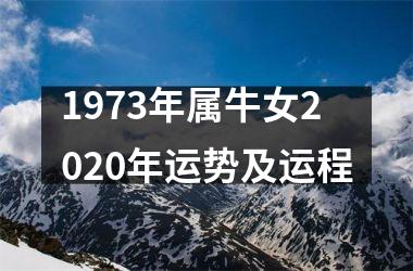 <h3>1973年属牛女2025年运势及运程