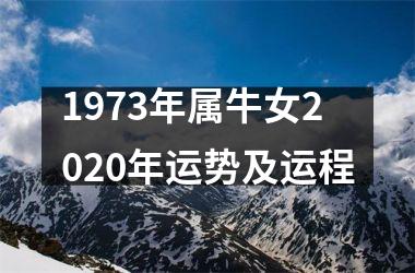 1973年属牛女2020年运势及运程