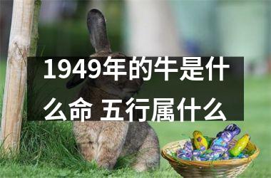 <h3>1949年的牛是什么命 五行属什么