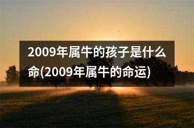 2009年属牛的孩子是什么命(2009年属牛的命运)