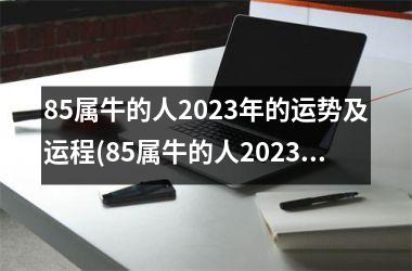 85属牛的人2023年的运势及运程(85属牛的人2023年运势及运程详解)