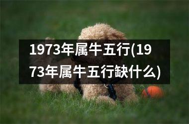 <h3>1973年属牛五行(1973年属牛五行缺什么)