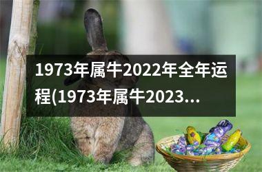 <h3>1973年属牛2025年全年运程(1973年属牛2025年运势及运程每月运程)