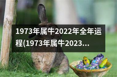 1973年属牛2022年全年运程(1973年属牛2023年运势及运程每月运程)