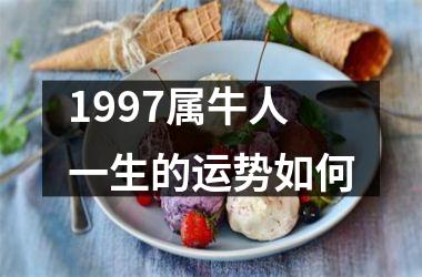 1997属牛人一生的运势如何