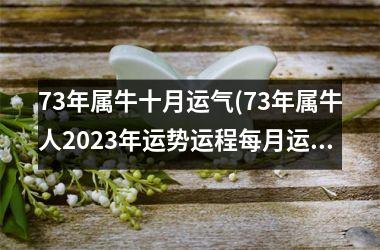 73年属牛十月运气(73年属牛人2023年运势运程每月运程详解)