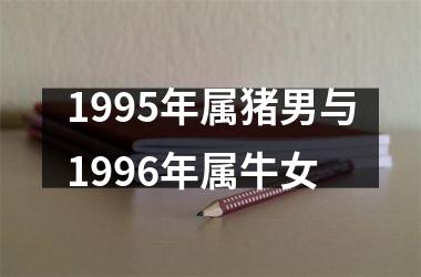 1995年属猪男与1996年属牛女