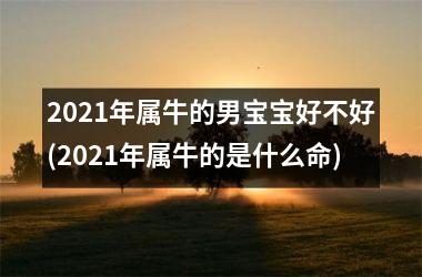 2021年属牛的男宝宝好不好(2021年属牛的是什么命)