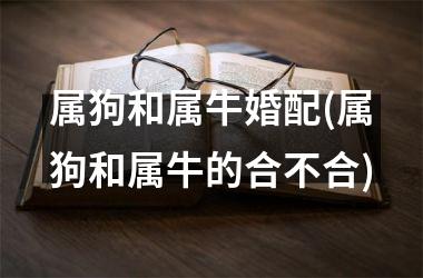 属狗和属牛婚配(属狗和属牛的合不合)