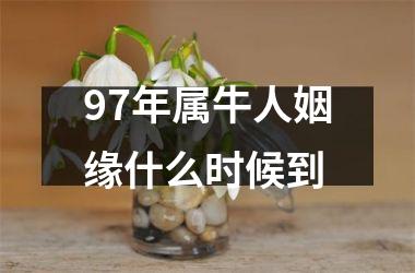 97年属牛人姻缘什么时候到