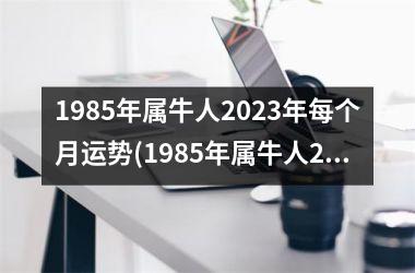 1985年属牛人2023年每个月运势(1985年属牛人2023年运势运程每月运程)