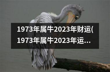 1973年属牛2023年财运(1973年属牛2023年运势及运程每月运程)