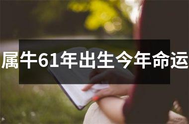 <h3>属牛61年出生今年命运