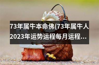 73年属牛本命佛(73年属牛人2025年运势运程每月运程详解)