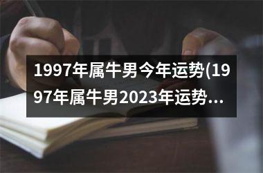 1997年属牛男今年运势(1997年属牛男2023年运势)