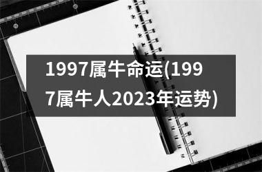 1997属牛命运(1997属牛人2023年运势)