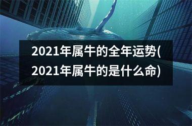 2021年属牛的全年运势(2021年属牛的是什么命)