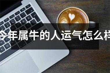 <h3>今年属牛的人运气怎么样