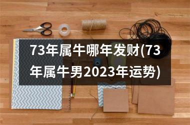 <h3>73年属牛哪年发财(73年属牛男2025年运势)