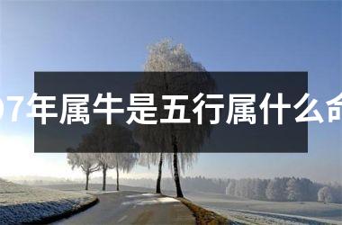 <h3>97年属牛是五行属什么命