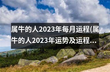 属牛的人2023年每月运程(属牛的人2023年运势及运程详解)