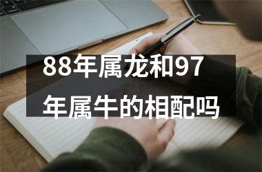 88年属龙和97年属牛的相配吗