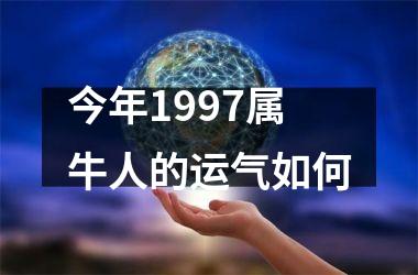 今年1997属牛人的运气如何