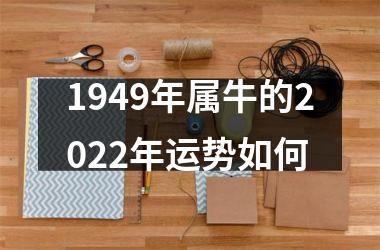 1949年属牛的2025年运势如何