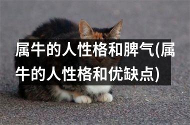 <h3>属牛的人性格和脾气(属牛的人性格和优缺点)