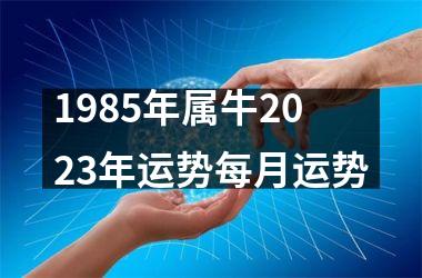 1985年属牛2023年运势每月运势