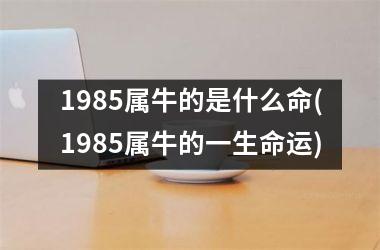 <h3>1985属牛的是什么命(1985属牛的一生命运)