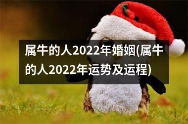 属牛的人2022年婚姻(属牛的人2022年运势及运程)