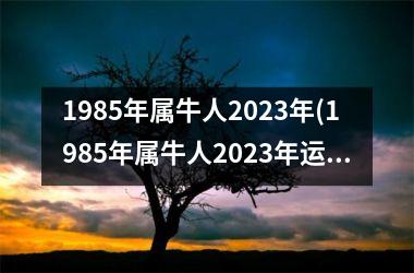 1985年属牛人2023年(1985年属牛人2023年运势运程每月运程)