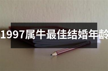 1997属牛最佳结婚年龄