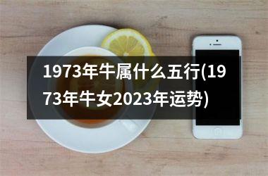 1973年牛属什么五行(1973年牛女2023年运势)