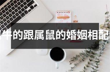 属牛的跟属鼠的婚姻相配吗