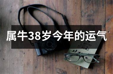 属牛38岁今年的运气