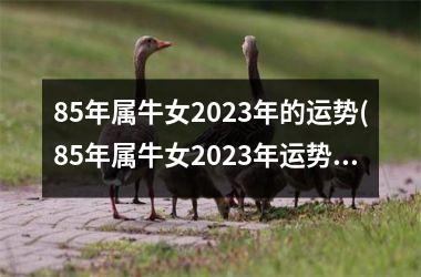 85年属牛女2023年的运势(85年属牛女2023年运势)